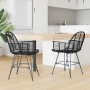 Silla de comedor 2 pcs Negro 57 x 54.5 x 85 cm Ratan e Hierro en Sillas de comedor | Comprar online en Foru.es