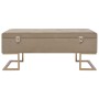 Banco con compartimento 105 cm beige de terciopelo de vidaXL, Bancos para recibidores y almacenamiento - Ref: Foro24-247574, ...