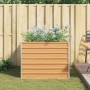 Arriate elevado Marrón Claro 100 x 100 x 77 cm en Macetas y jardineras | Comprar online en Foru.es