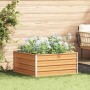 Arriate elevado Marrón Claro 100 x 100 x 45 cm en Macetas y jardineras | Comprar online en Foru.es