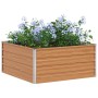 Arriate elevado Marrón Claro 100 x 100 x 45 cm en Macetas y jardineras | Comprar online en Foru.es