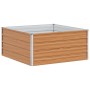 Arriate elevado Marrón Claro 100 x 100 x 45 cm en Macetas y jardineras | Comprar online en Foru.es