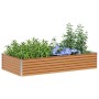 Arriate elevado 195 x 100 x 36 cm Acero Galvanizado en Macetas y jardineras | Comprar online en Foru.es