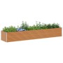 Arriate elevado 485 x 100 x 68 cm Acero Galvanizado en Macetas y jardineras | Comprar online en Foru.es