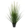 Emerald Kunstkraut Alopecurus im Topf 70 cm von Emerald, Künstliche Flora - Ref: Foro24-428474, Preis: 38,38 €, Rabatt: %