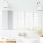 Espejo de pared Rectangular 40 x 100 cm vidrio templado en Espejos | Comprar online en Foru.es