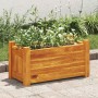 Arriate de madera de acacia 50x25x25 cm en Macetas y jardineras | Comprar online en Foru.es