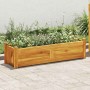 Arriate de madera de acacia 100x30x25 cm en Macetas y jardineras | Comprar online en Foru.es