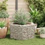 Arriate hexagonal de gaviones 100x90x50 cm en Macetas y jardineras | Comprar online en Foru.es