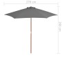 Sombrilla de jardín con palo de madera antracita 270 cm en Sombrillas | Comprar online en Foru.es