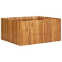Arriate de madera maciza de acacia 100x100x50 cm en Macetas y jardineras | Comprar online en Foru.es