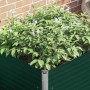 Jardinera elevada de acero galvanizado verde 100x100x77 cm en Macetas y jardineras | Comprar online en Foru.es