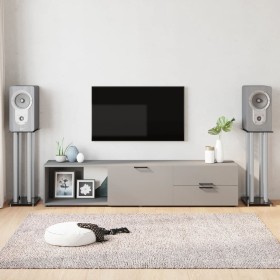 Soportes altavoces 2 uds vidrio templado plata negro 4 pilares de vidaXL, Soportes para altavoces - Ref: Foro24-51818, Precio...