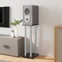 Soportes altavoces 2 uds vidrio templado plata negro 4 pilares de vidaXL, Soportes para altavoces - Ref: Foro24-51818, Precio...