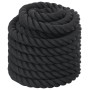 Cuerda de batalla poliéster negro 15 m 11 kg de vidaXL, Accesorios de máquinas de cardio - Ref: Foro24-94268, Precio: 71,73 €...