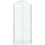 Gabione Korbbogenform aus verzinktem Eisen 100x50x220/240 cm von vidaXL, Töpfe und Pflanzgefäße - Ref: Foro24-153441, Preis: ...