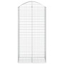 Cesta gaviones forma arco hierro galvanizado 100x50x200/220 cm de vidaXL, Maceteros y jardineras - Ref: Foro24-153440, Precio...
