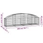 Cesta de gaviones forma arco hierro galvanizado 200x50x40/60 cm de vidaXL, Maceteros y jardineras - Ref: Foro24-153472, Preci...