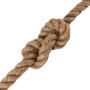 Cuerda de yute 5 m de longitud y 50 mm de grosor de vidaXL, Sogas y cuerdas metálicas - Ref: Foro24-153778, Precio: 64,47 €, ...