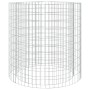 Brasero de gaviones hierro galvanizado Ø100 cm de vidaXL, Chimeneas - Ref: Foro24-153561, Precio: 118,94 €, Descuento: %