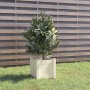 Jardinera de madera maciza de pino blanco 31x31x31 cm en Macetas y jardineras | Comprar online en Foru.es
