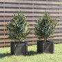 Jardineras 2 uds madera maciza de pino gris 31x31x31 cm en Macetas y jardineras | Comprar online en Foru.es