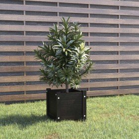 Jardinera de madera maciza de pino negro 31x31x31 cm en Macetas y jardineras | Comprar online en Foru.es
