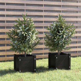 Jardineras 2 uds madera maciza de pino negra 31x31x31 cm en Macetas y jardineras | Comprar online en Foru.es