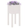 Jardineras 2 uds madera maciza de pino blanco 31x31x70 cm en Macetas y jardineras | Comprar online en Foru.es