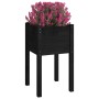 Jardineras 2 unidades madera maciza de pino negro 40x40x70 cm en Macetas y jardineras | Comprar online en Foru.es