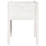 Jardinera de madera maciza de pino blanco 50x50x70 cm en Macetas y jardineras | Comprar online en Foru.es