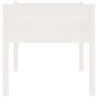 Jardinera de madera maciza de pino blanca 70x70x70 cm en Macetas y jardineras | Comprar online en Foru.es