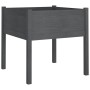 Jardineras 2 uds madera maciza de pino gris 70x70x70 cm en Macetas y jardineras | Comprar online en Foru.es