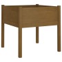 Jardineras 2 uds madera maciza de pino marrón miel 70x70x70 cm en Macetas y jardineras | Comprar online en Foru.es