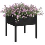 Jardineras 2 uds madera maciza de pino negro 70x70x70 cm en Macetas y jardineras | Comprar online en Foru.es