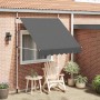 Toldo retráctil de operación manual antracita 200 cm en Toldos | Comprar online en Foru.es
