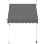 Toldo retráctil de operación manual antracita 200 cm en Toldos | Comprar online en Foru.es