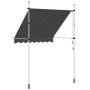 Toldo retráctil de operación manual antracita 200 cm en Toldos | Comprar online en Foru.es