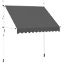 Toldo retráctil de operación manual antracita 250 cm en Toldos | Comprar online en Foru.es