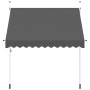 Toldo retráctil de operación manual antracita 250 cm en Toldos | Comprar online en Foru.es