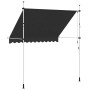 Toldo retráctil de operación manual antracita 250 cm en Toldos | Comprar online en Foru.es