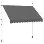 Toldo retráctil de operación manual antracita 300 cm en Toldos | Comprar online en Foru.es