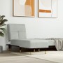 Sofá diván de terciopelo gris claro de vidaXL, Divanes - Ref: Foro24-352808, Precio: 157,03 €, Descuento: %