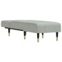 Sofá diván de terciopelo gris claro de vidaXL, Divanes - Ref: Foro24-352808, Precio: 157,03 €, Descuento: %