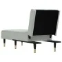 Sofá diván de terciopelo gris claro de vidaXL, Divanes - Ref: Foro24-352808, Precio: 176,71 €, Descuento: %