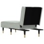 Sofá diván de terciopelo gris claro de vidaXL, Divanes - Ref: Foro24-352808, Precio: 157,03 €, Descuento: %