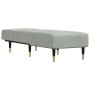 Sofá diván de terciopelo gris claro de vidaXL, Divanes - Ref: Foro24-352802, Precio: 152,30 €, Descuento: %