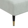 Sofá diván de terciopelo gris claro de vidaXL, Divanes - Ref: Foro24-352802, Precio: 152,30 €, Descuento: %
