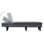 Sofá diván de terciopelo gris oscuro de vidaXL, Divanes - Ref: Foro24-352845, Precio: 136,95 €, Descuento: %