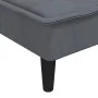 Diwansofa aus dunkelgrauem Samt von vidaXL, Tagesbetten - Ref: Foro24-352845, Preis: 154,09 €, Rabatt: %